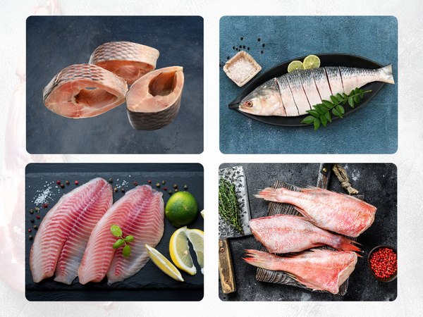 Fish