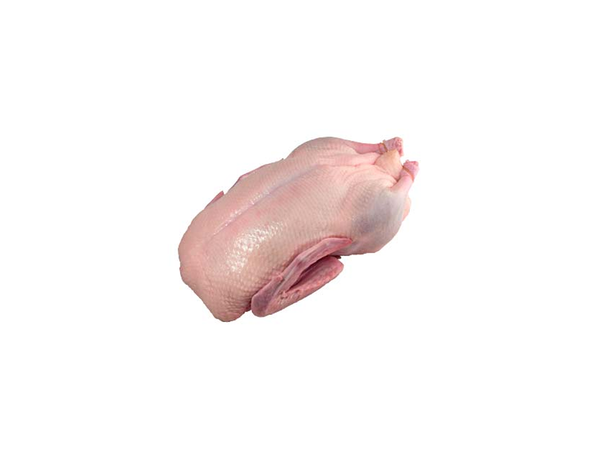 Duck-Frozen