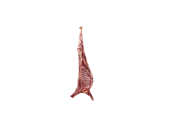 Goat-Half