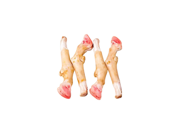 Lamb-Paya-Burn